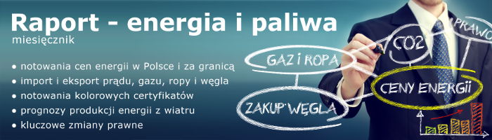 raport energia energy solution wysokienapeicie.pl
