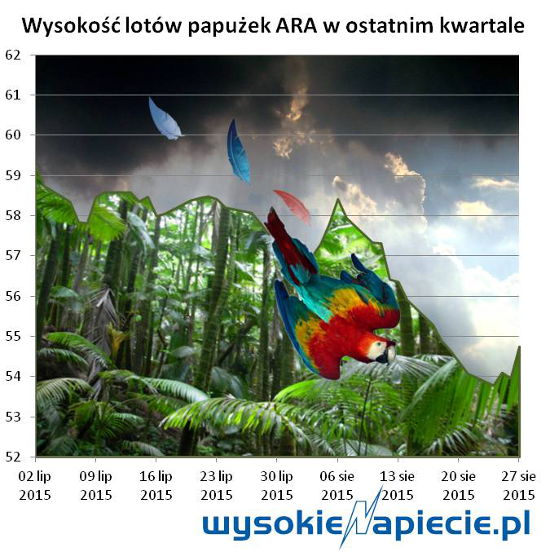 wegiel ara notowania 2015