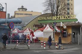brzeszcze
