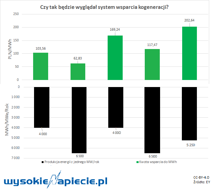 konegeracja wsparcie EY