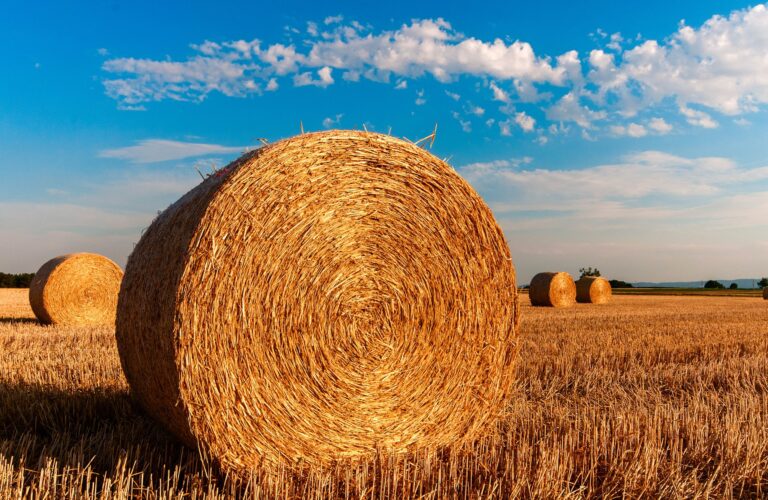 straw-bales-726976 1920