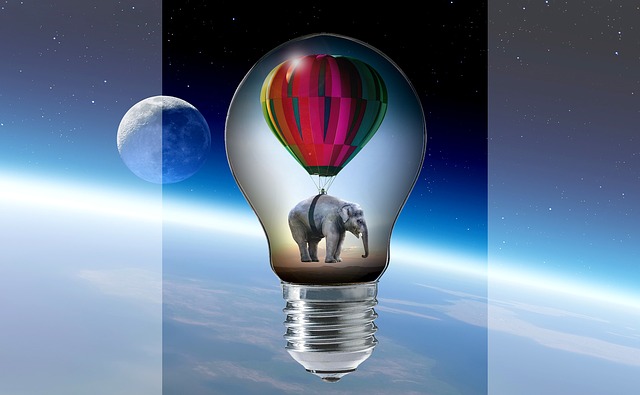 elephant-2634725 640