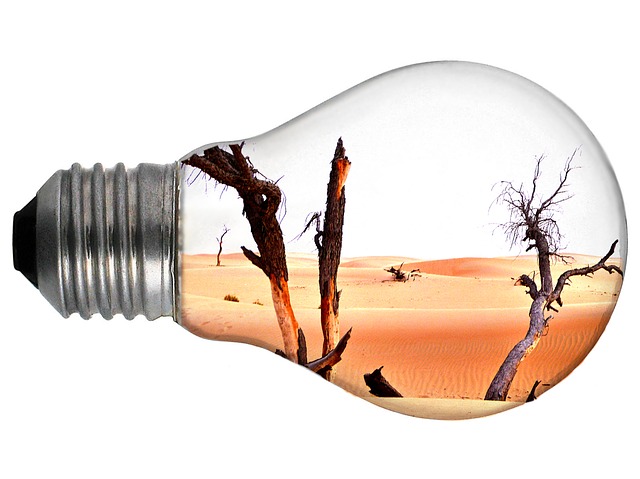 environment-2443922 640