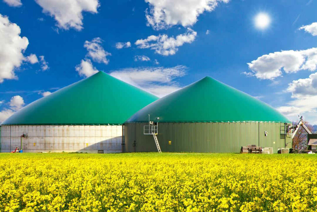 biogaz oze ziomasa pole