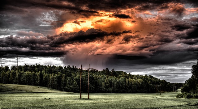 field-601209 640