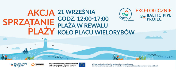 sprzatanie-plazy-750-300