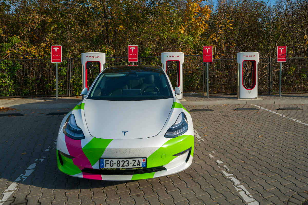 tesla model 3 maska