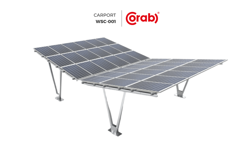 system wsc 001 Corab