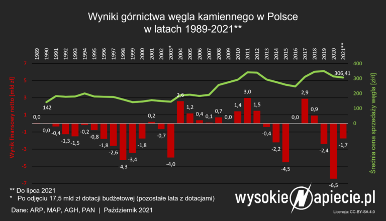 gornictwo.wyniki straty gornictwa 2021