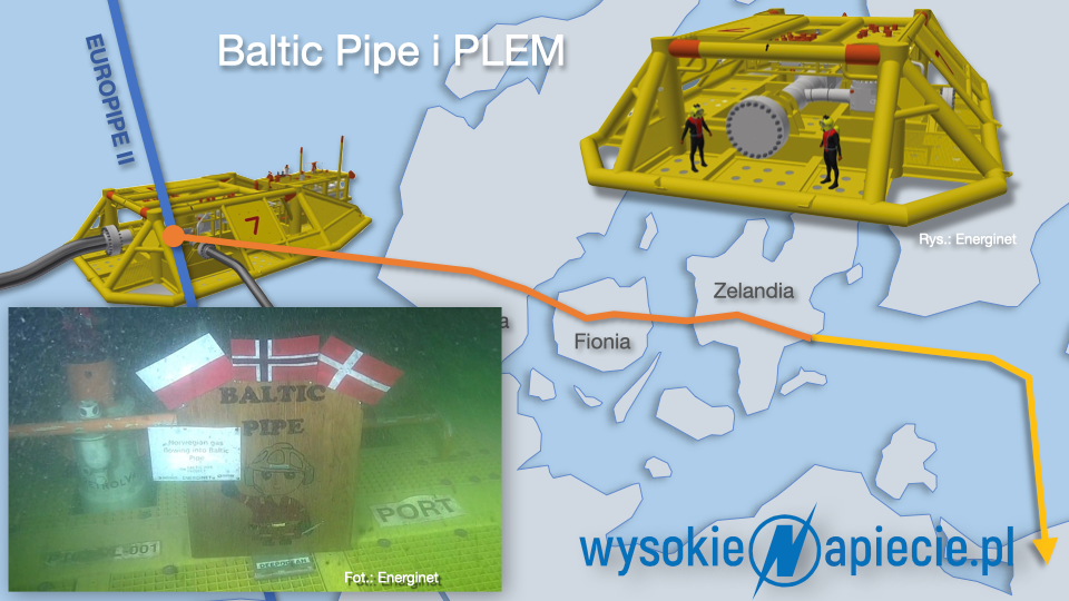 baltic plem