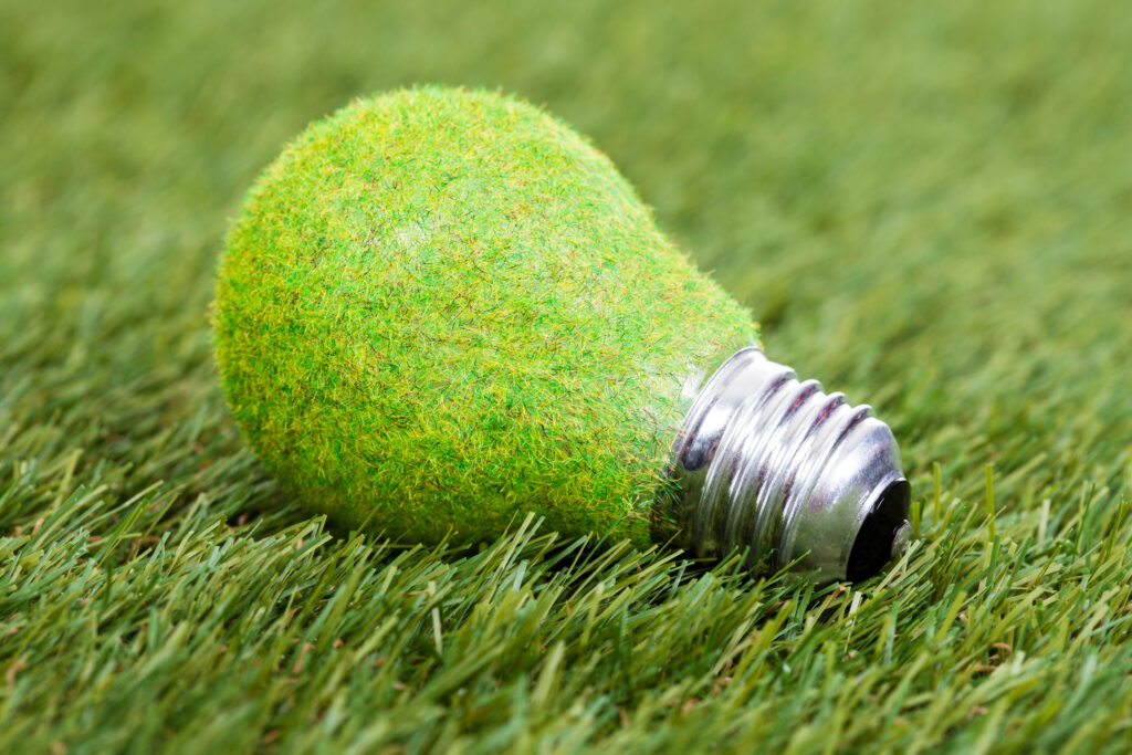 Energy Saving Bulb On Green Grass
