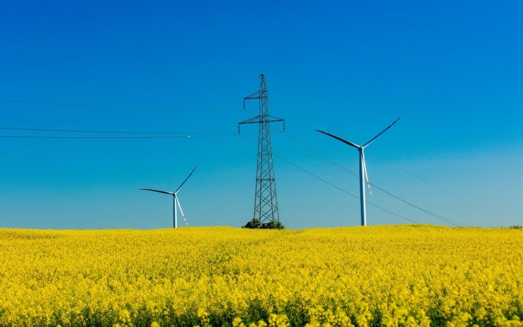 wind farm and high-voltage line in a rapeseed field