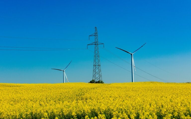 wind farm and high-voltage line in a rapeseed field