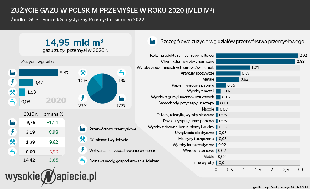 Zużycie gazu w przemyśle 2020