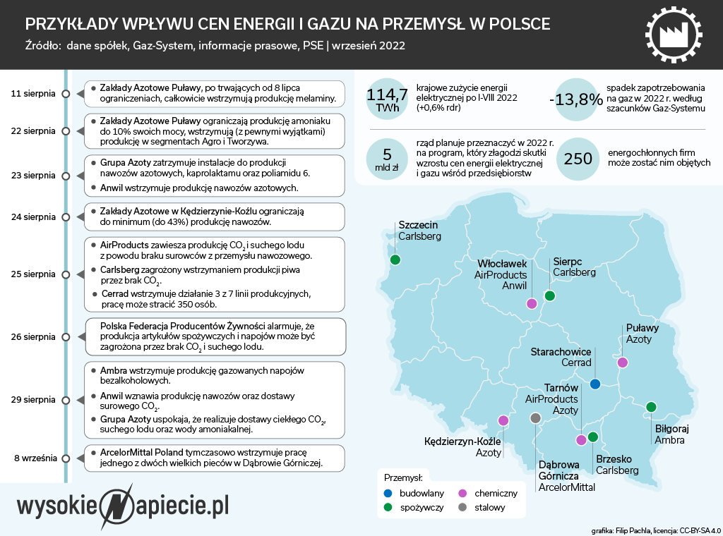Kryzysowy sierpień 2022 r. w polskim przemyśle energochłonnym.