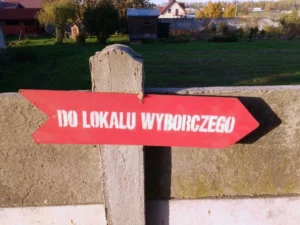wybory