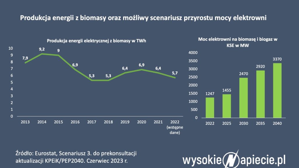 Biomasa KPEiK aktualizacja