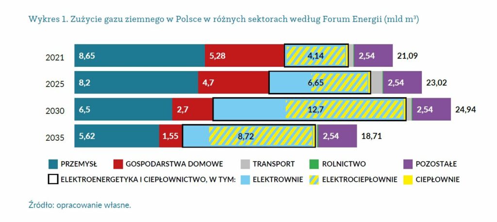 Zużycie gazu sektory Polska fot Forum Energii