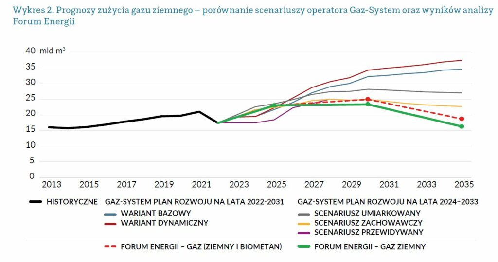 Zużycie gazu sektory Polska fot  Forum Energii