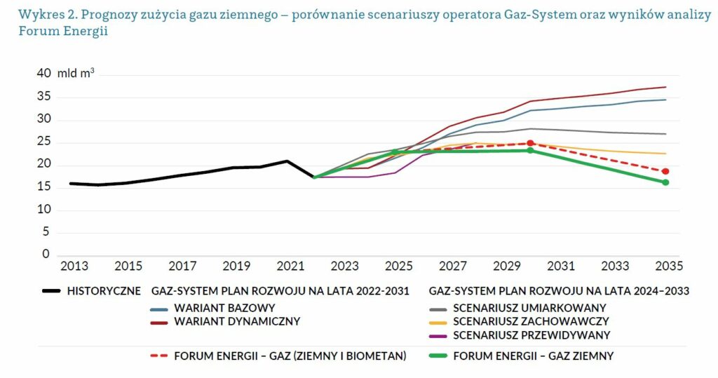 Zużycie gazu sektory Polska fot Forum Energii