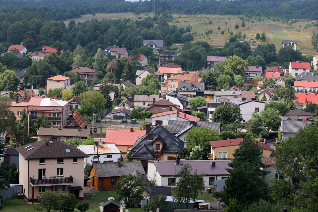 Miasteczko w dolinie z domami o czerwonych dachach w zieleni.