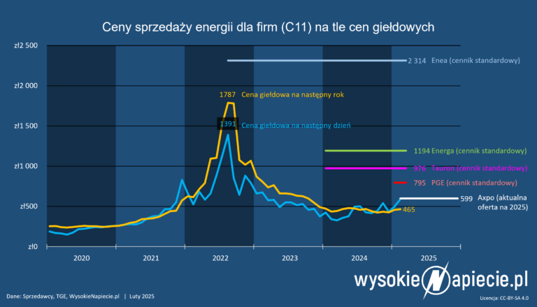 ceny energii c11 firmy 02 2025