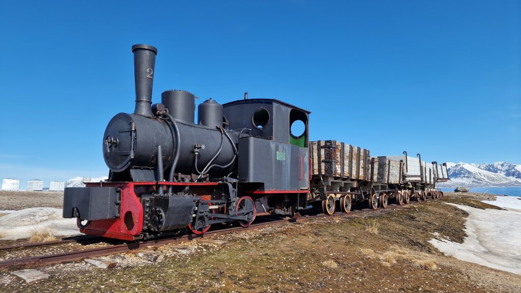 ny alesund kolejka
