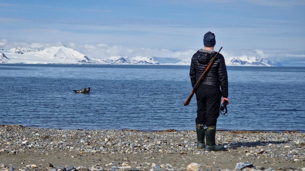 svalbard foka